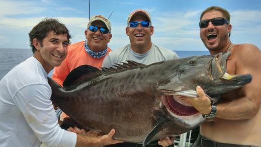 world record black grouper.png